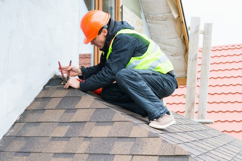 Roof Leak Patching Service