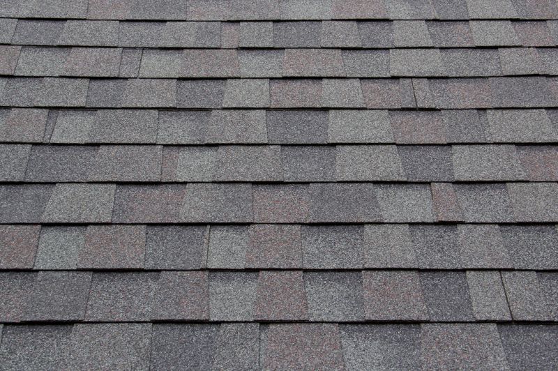 Asphalt Roofing Service in Boston, MA